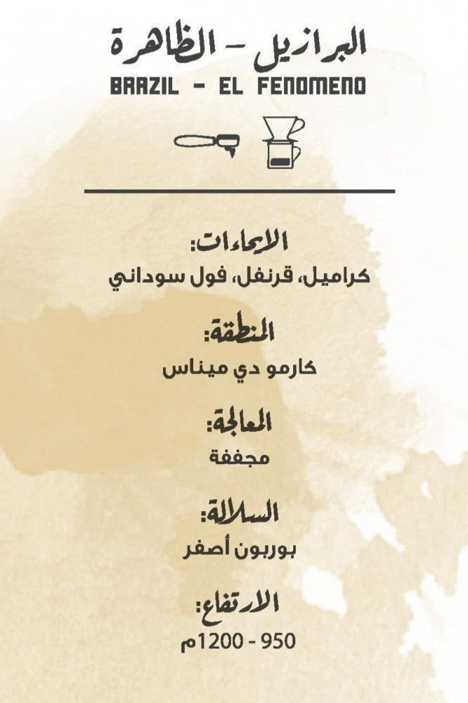 THE COFFEE FACTORY B- BRAZIL - El FENOMENO 1 KG