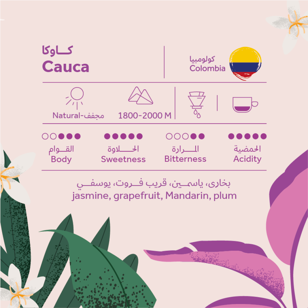 BREEHANT - COLOMBIA - CAUCA 250G