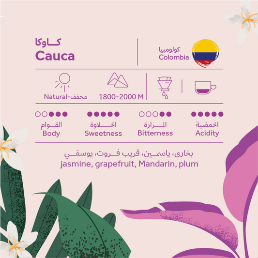 BREEHANT - COLOMBIA - CAUCA 250G