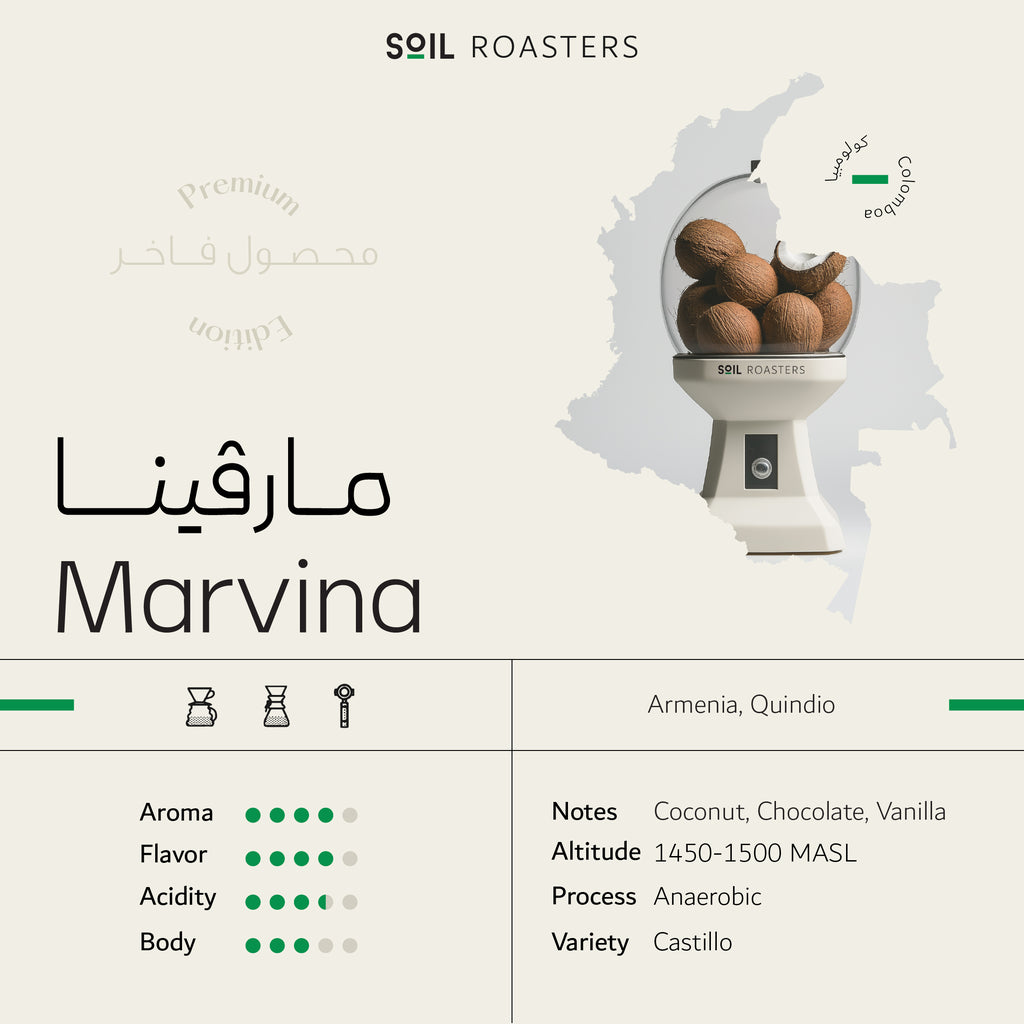 SOIL - MARVINA 1 KG