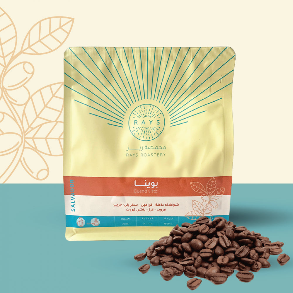 RAYS - SALVADOR - BUENA VISTA - 250g