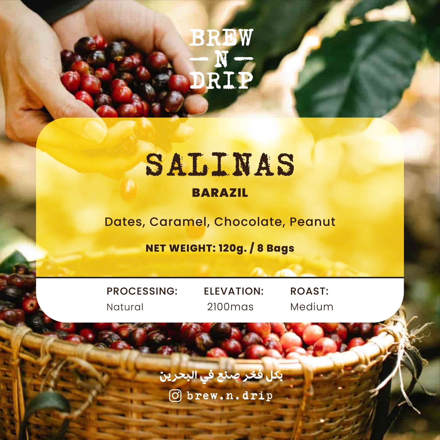 BREW N' DRIP - SALINAS