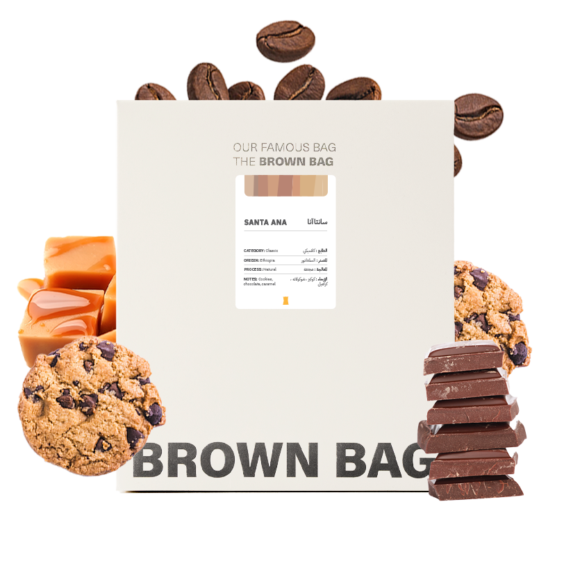 BROWN BAG - SANTA ANA - 1KG