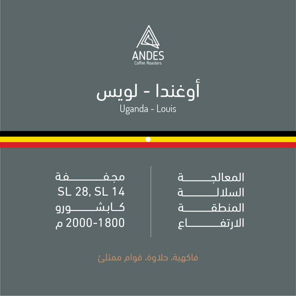 ANDES - UGANDA - LOUIS - 250KG