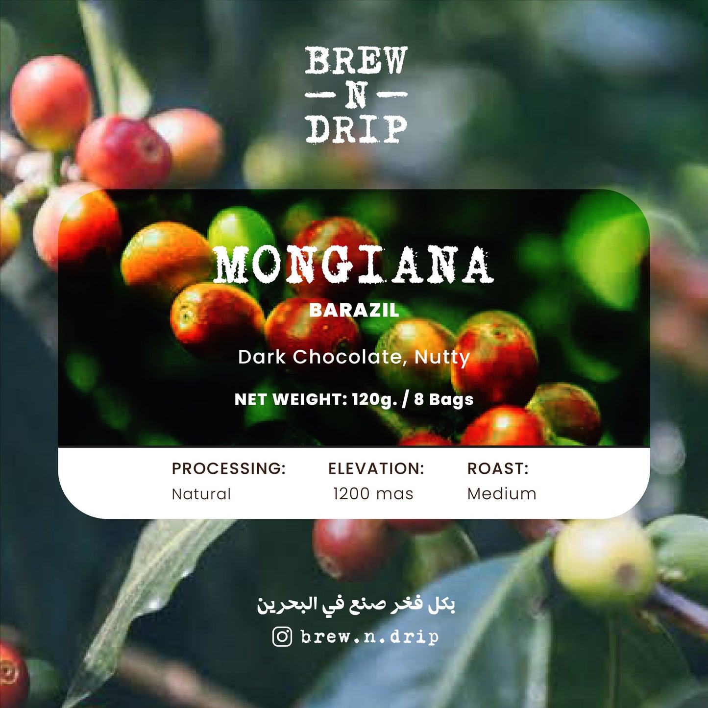Brew n drip - BRAZIL MOGIANA