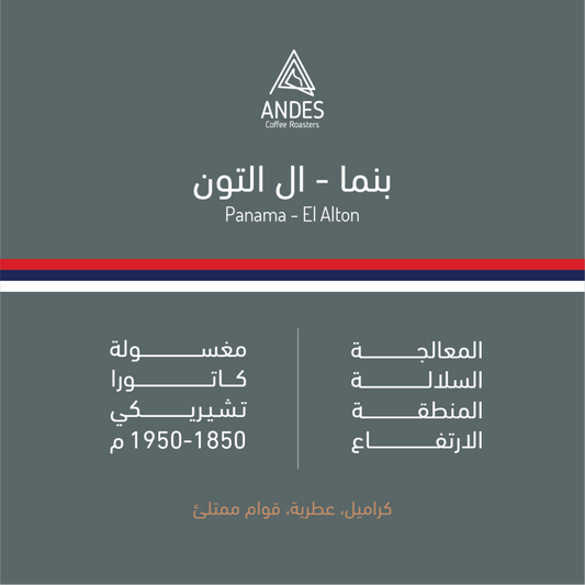 ANDES - PANAMA - EL ALTON - 250G