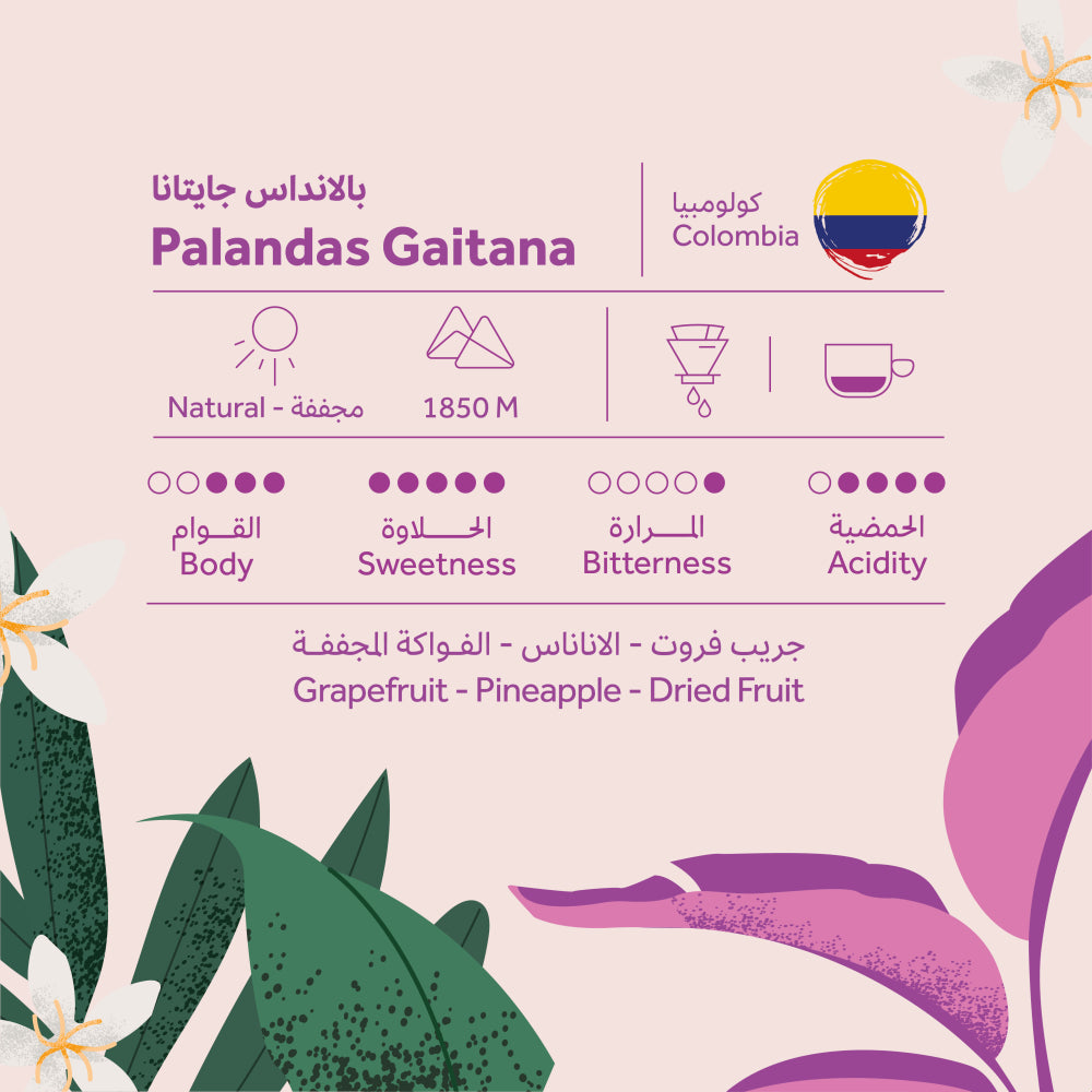 BREEHANT - COLOMBIA - PALANDAS 250G
