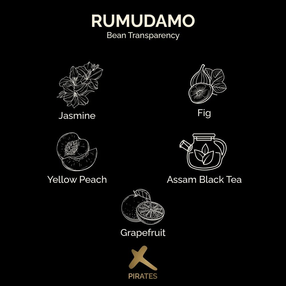 PIRATES OF COFFEE - ETHIOPIA SIDAMO RUMUDAMO 250G