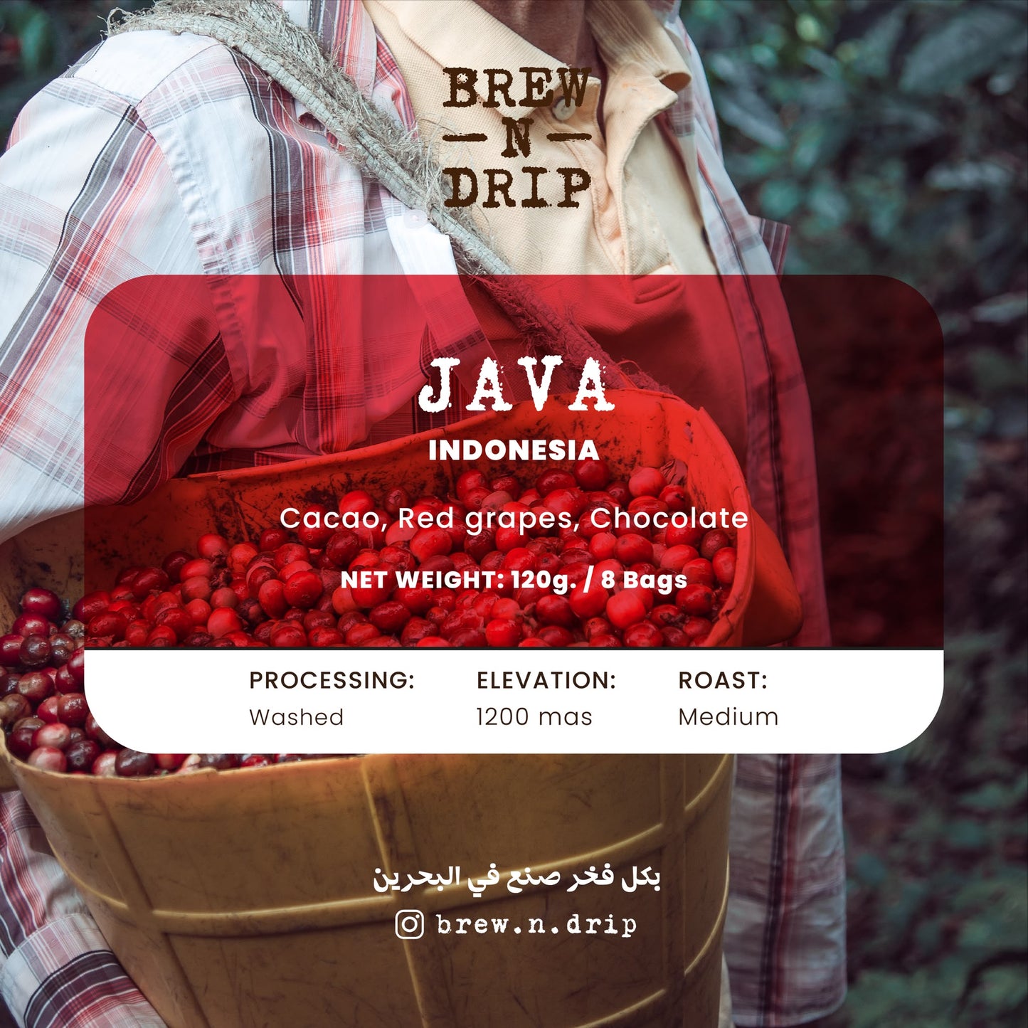 BREW N' DRIP - JAVA INDONISIA