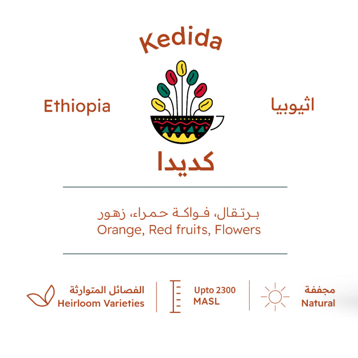 Roasting House - ETHIOPIA YIRGACHAFE KEDIDA - 227g