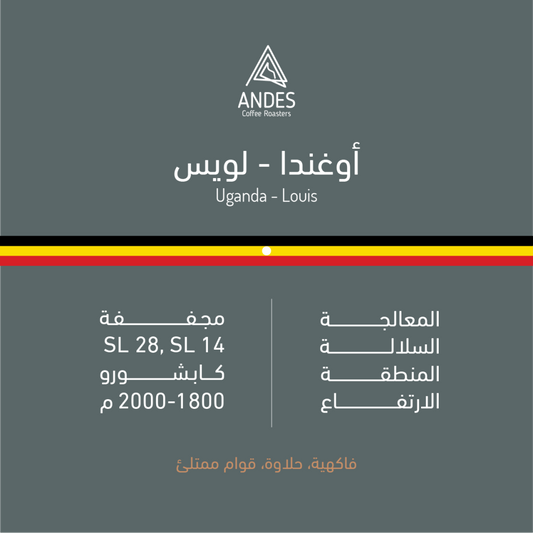 ANDES - UGANDA - LOUIS - 250KG
