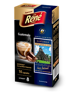 Rene - Guatemala